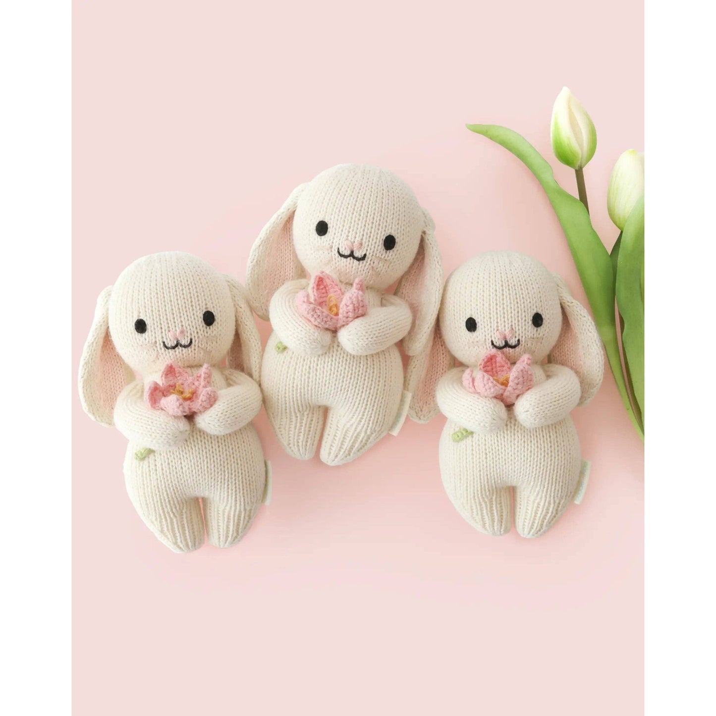 Baby bunny (blooming tulip)