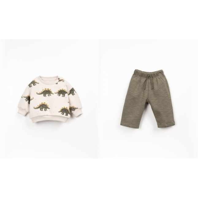 Dino Print Sweatshirt and Pant