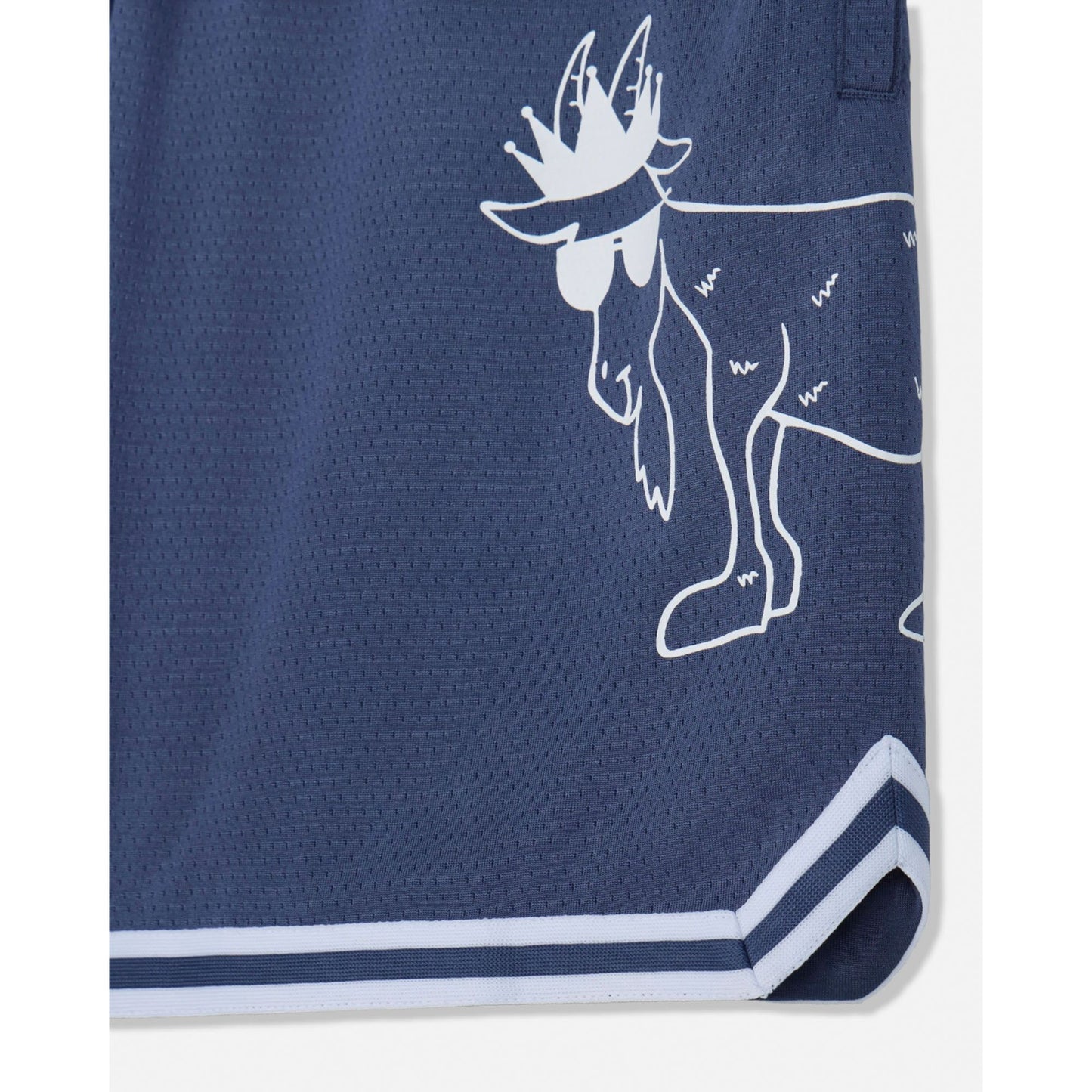 Kids' BIG GOAT Mesh Shorts