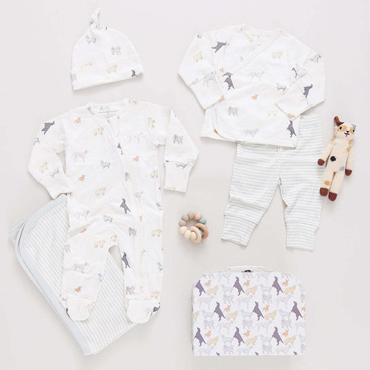NESTING BOX BABY TAKE HOME SET - TINY DOGS