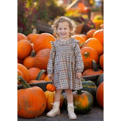 CHESTNUT DRESS