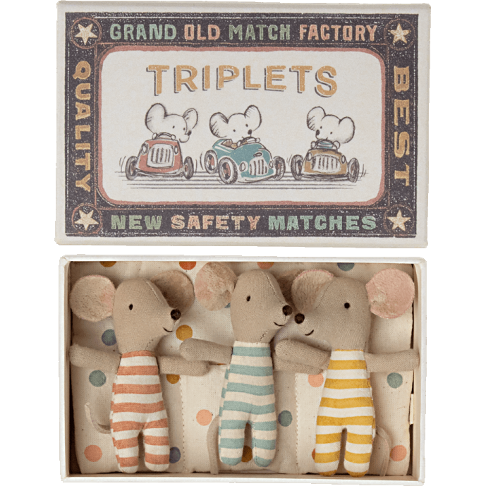 Triplets, Baby mice in matchbox
