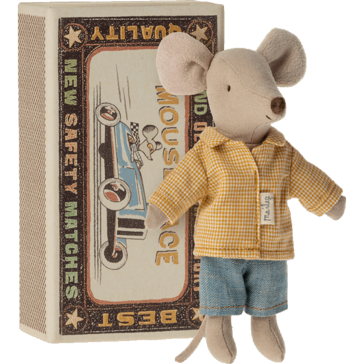 Big brother mouse in matchbox
