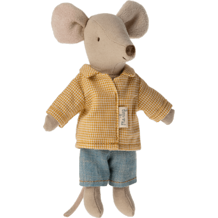 Big brother mouse in matchbox