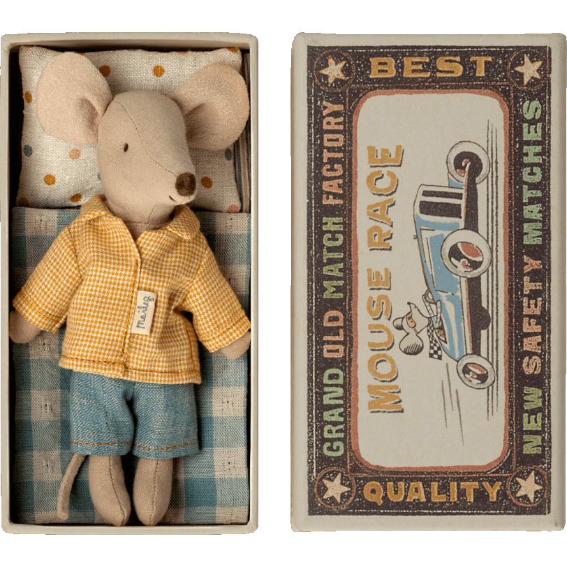 Big brother mouse in matchbox