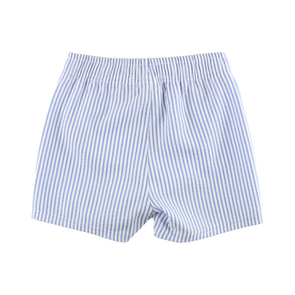 Boys Periwinkle Blue Seersucker Swim Trunks