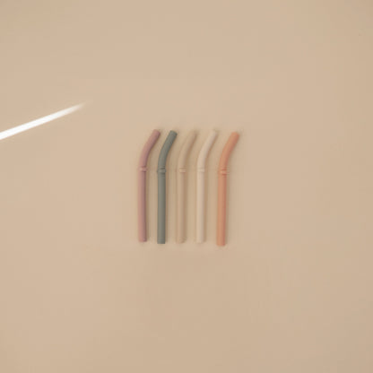 Silicone Replacement Straws - 5 Pack