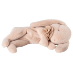 Sleeping bunny plush, Small - Powder