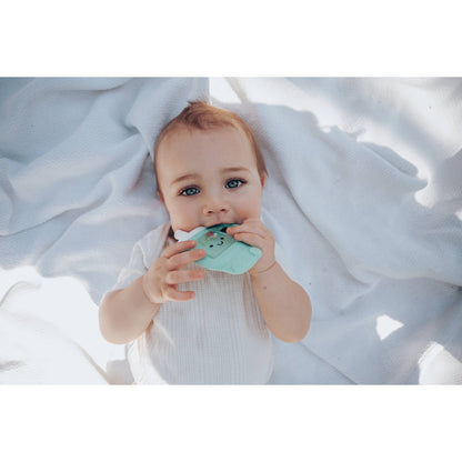 Sweetie Shake Plus™ - Teething + Rattle Toy