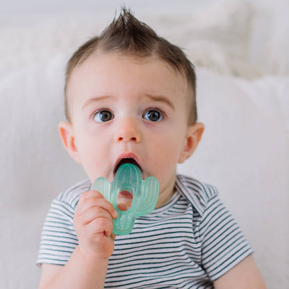 Cutie Coolers™ Water Filled Teethers (3-pack) Dino