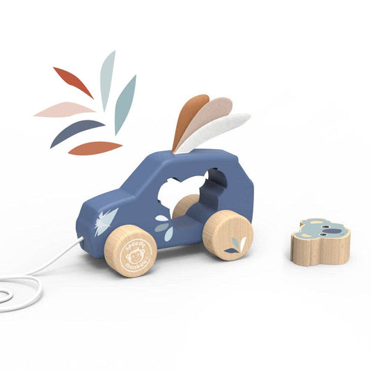 Pull along Car