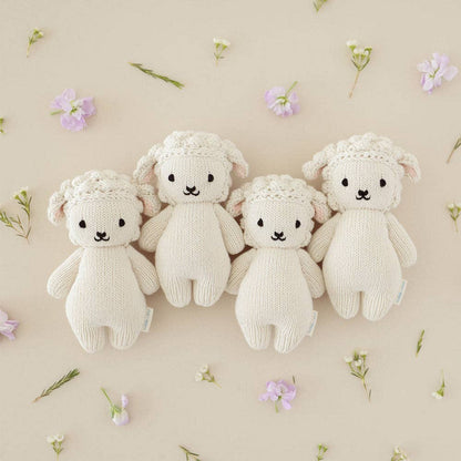 Baby lamb, gives 5 meals