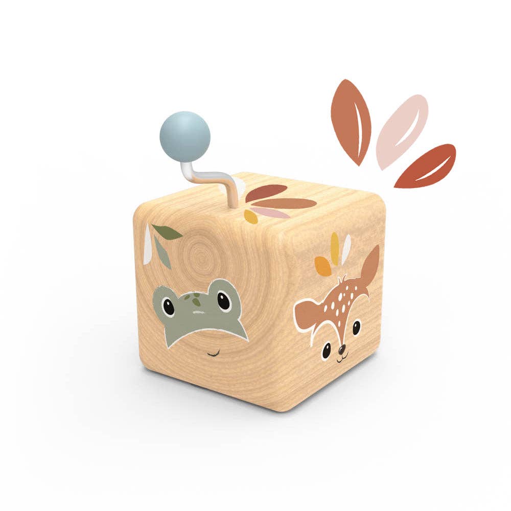 Display of Music boxes (8 units)