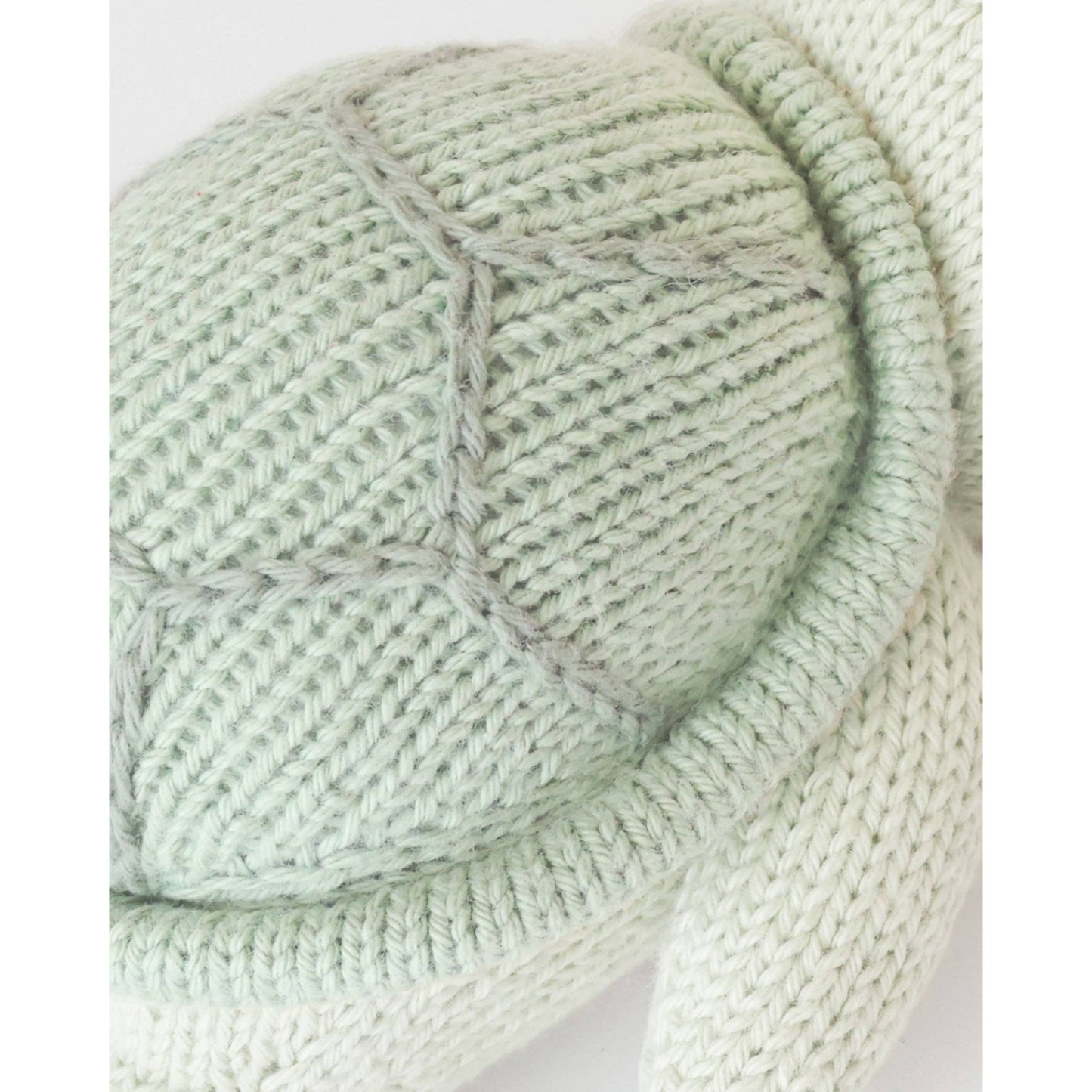 Baby sea turtle (kelp green)