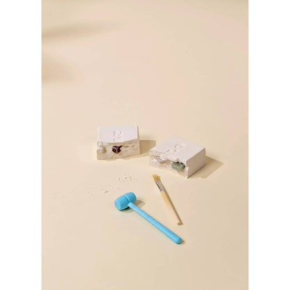 Gemstones & Fossil Geoligical Excavation Set