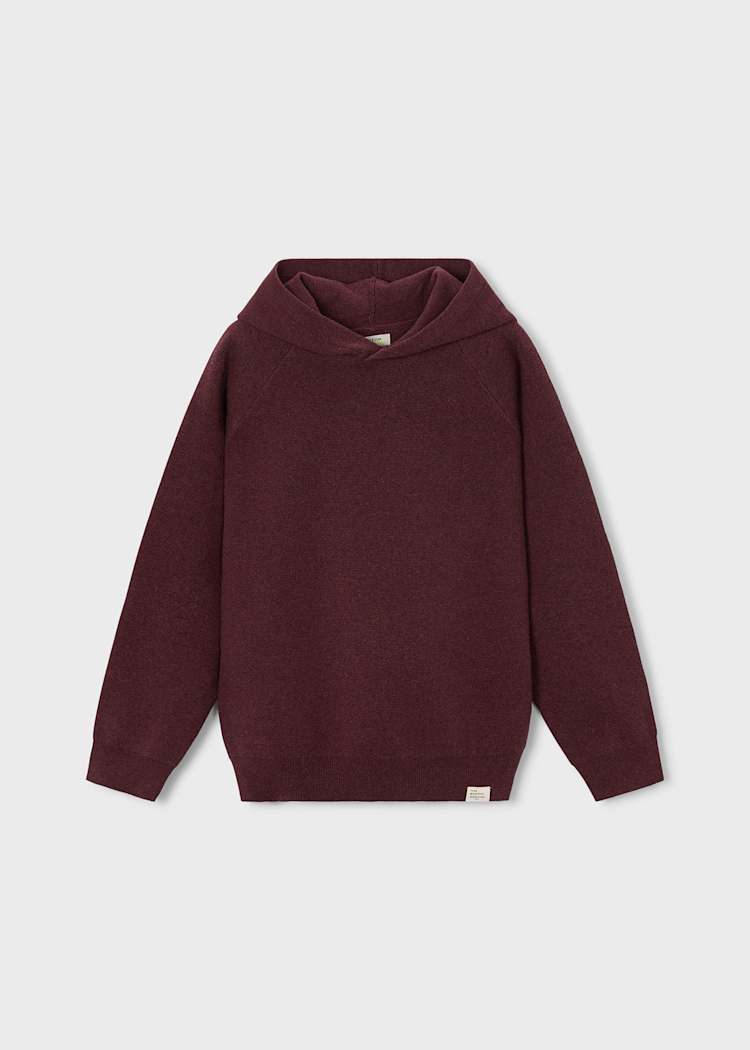 Boston Kids Hooded Sweater
