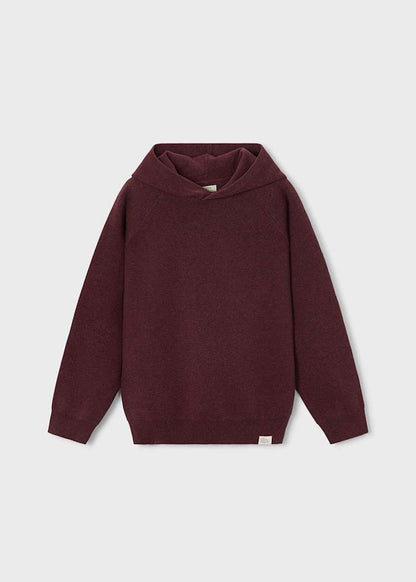 Boston Kids Hooded Sweater
