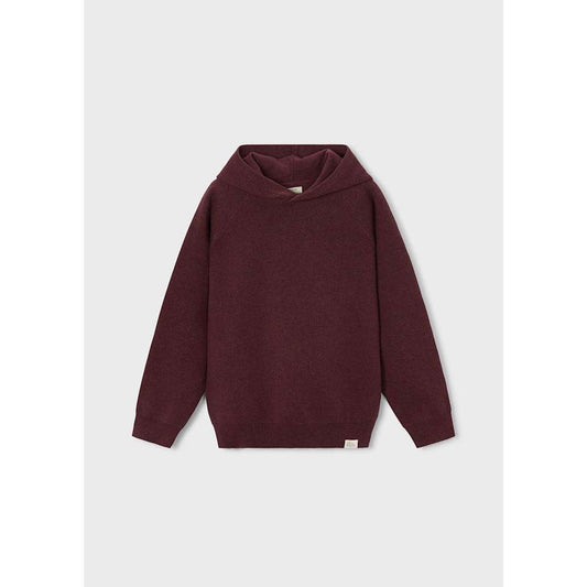 Boston Kids Hooded Sweater