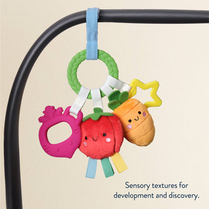 Bitzy Busy Ring™ Teething Activity Toy