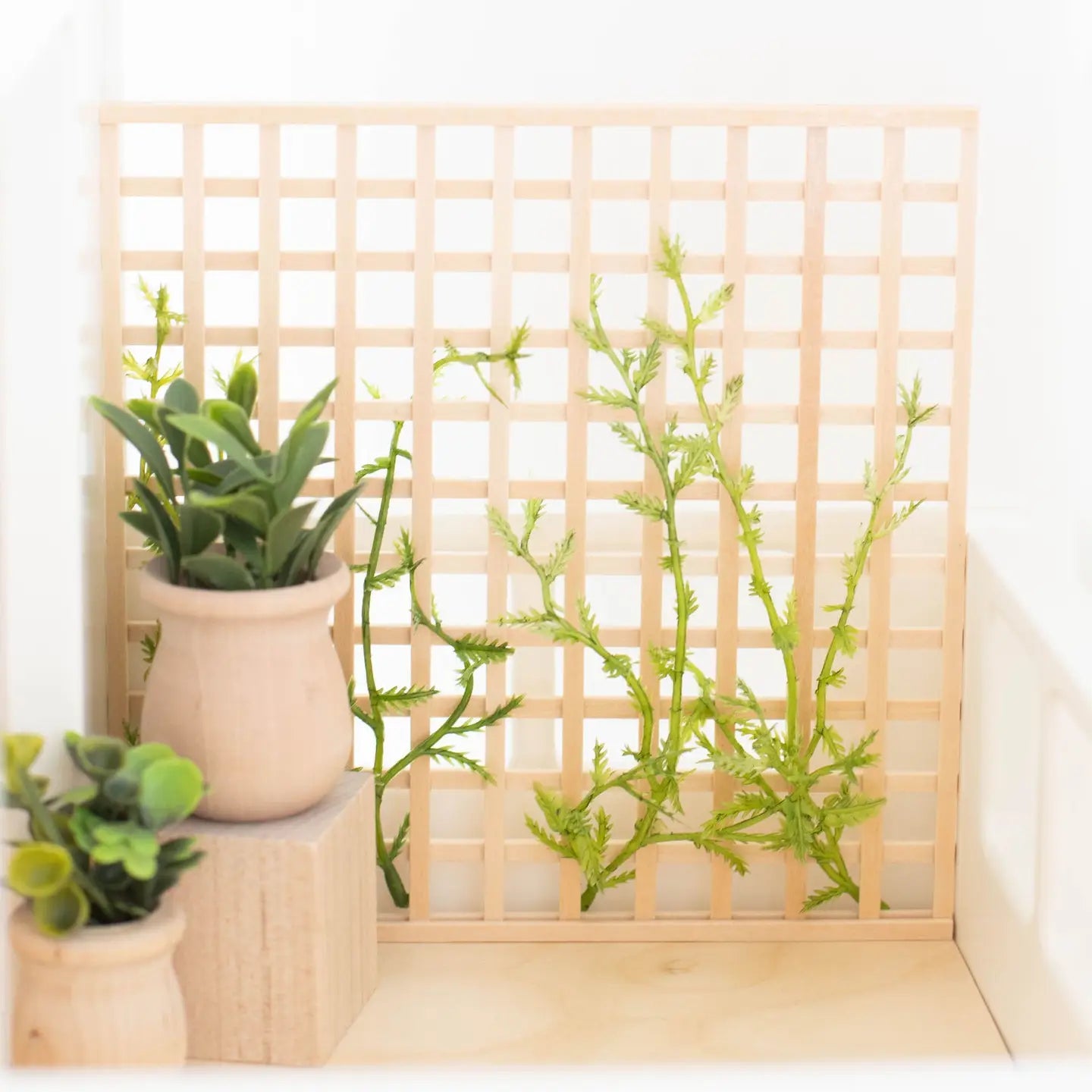 patio trellis wall
