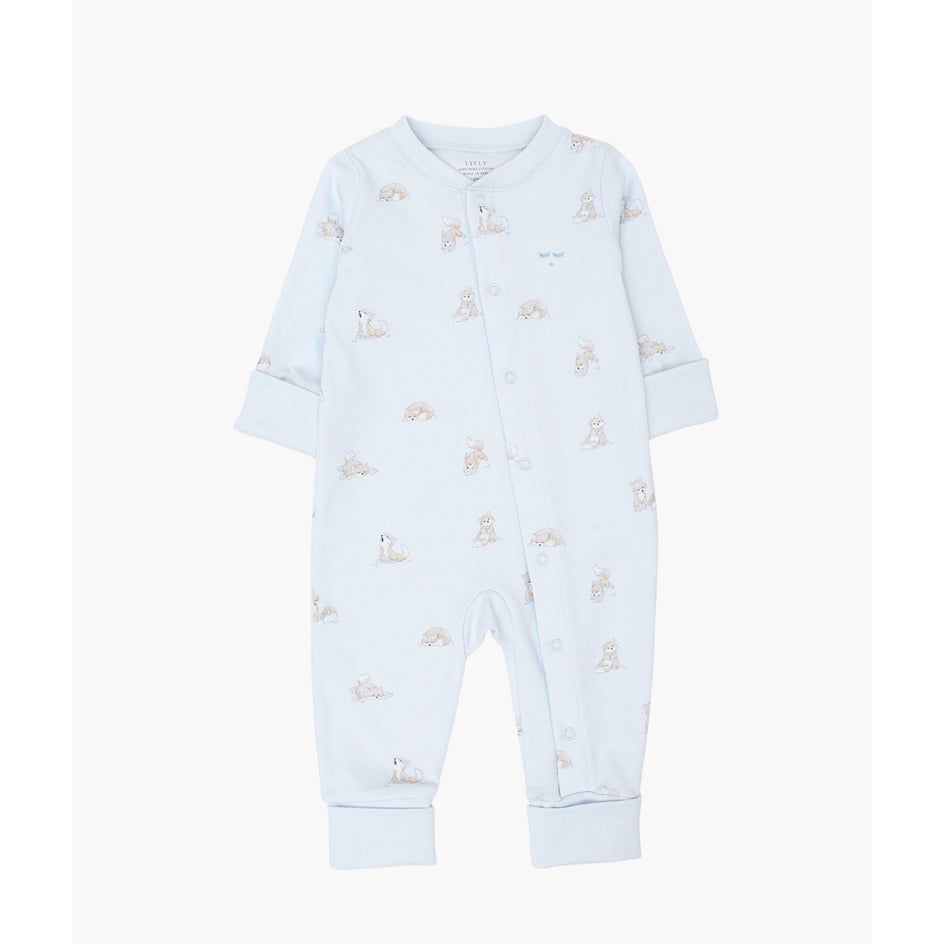 Foxes Overall