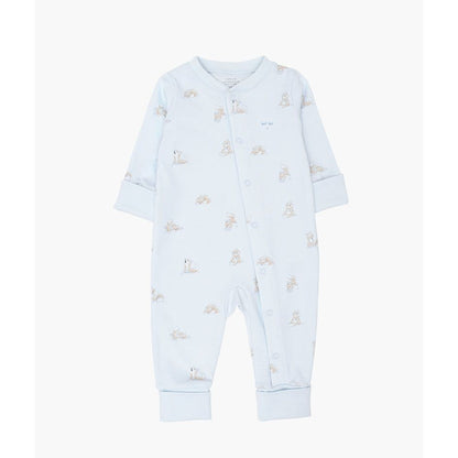 Foxes Overall