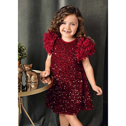 Girl Sequin and Tulle Dress