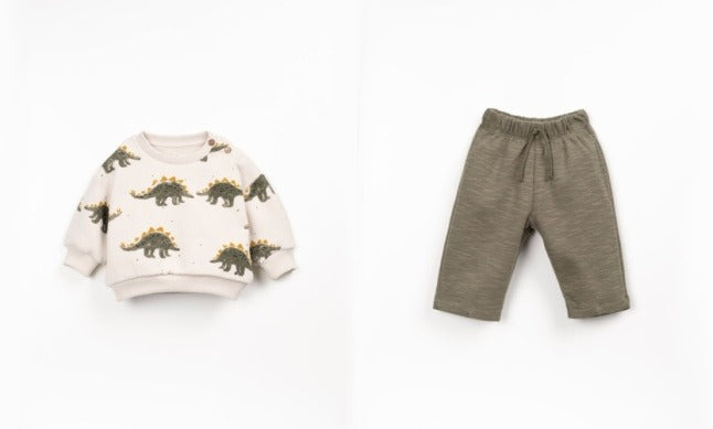 Dino Print Sweatshirt and Pant