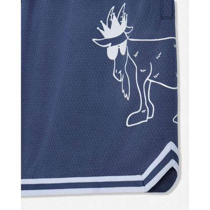 Kids' BIG GOAT Mesh Shorts