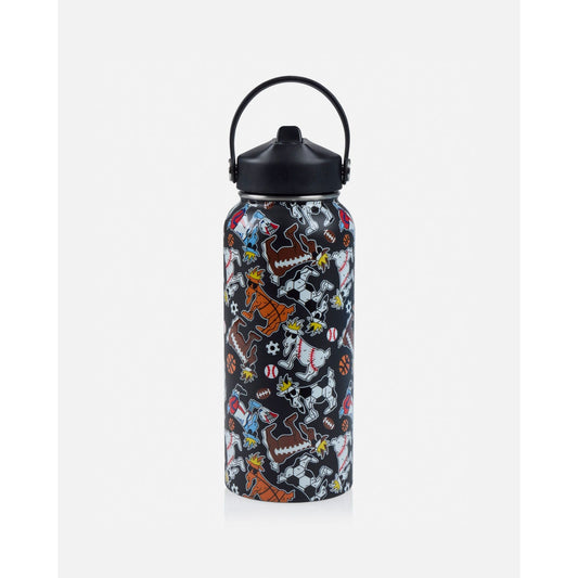 Sports Water Bottle