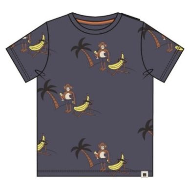 Baby Boys SS Tee Blue