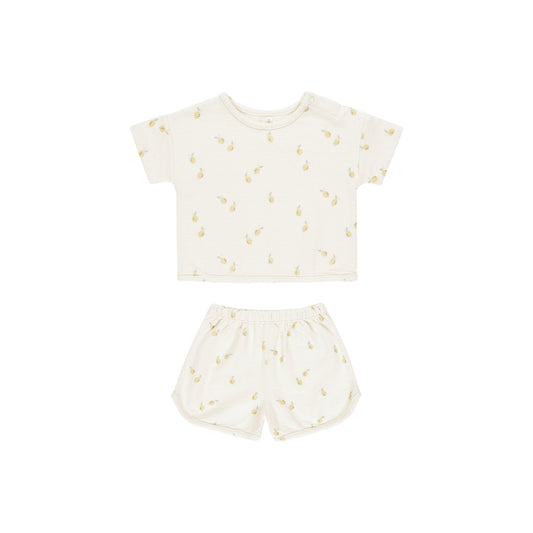 SPONGY PLAY SET || LEMONS