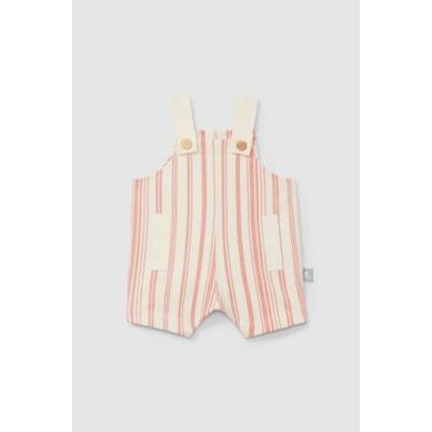 Infant Boys Stripe Shortall