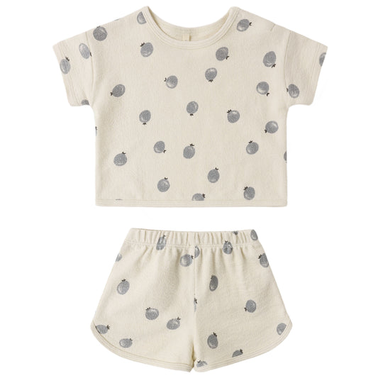 SPONGY PLAY SET BLUEBERRIES