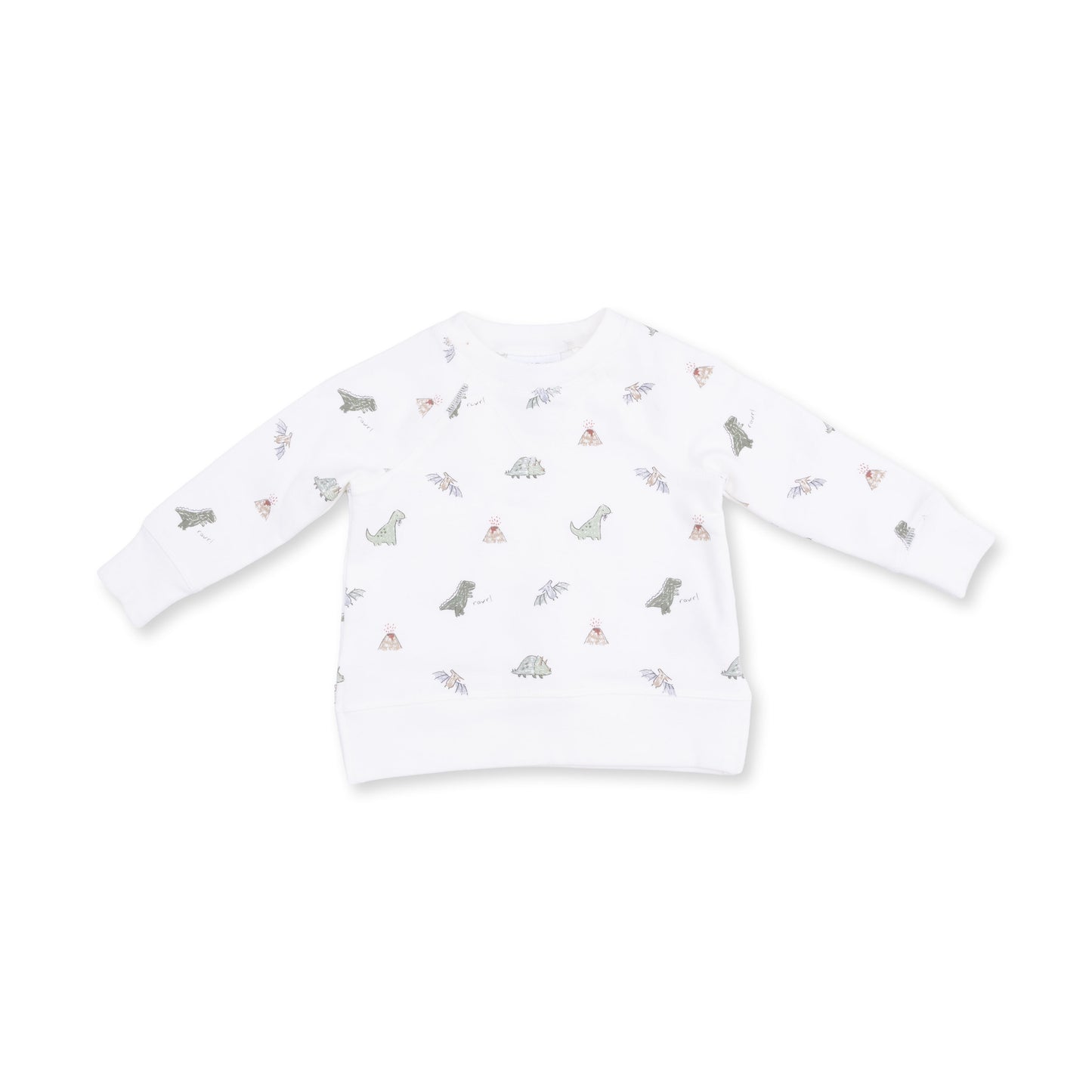 Dinos French Terry - Raglan Sweatshirt
