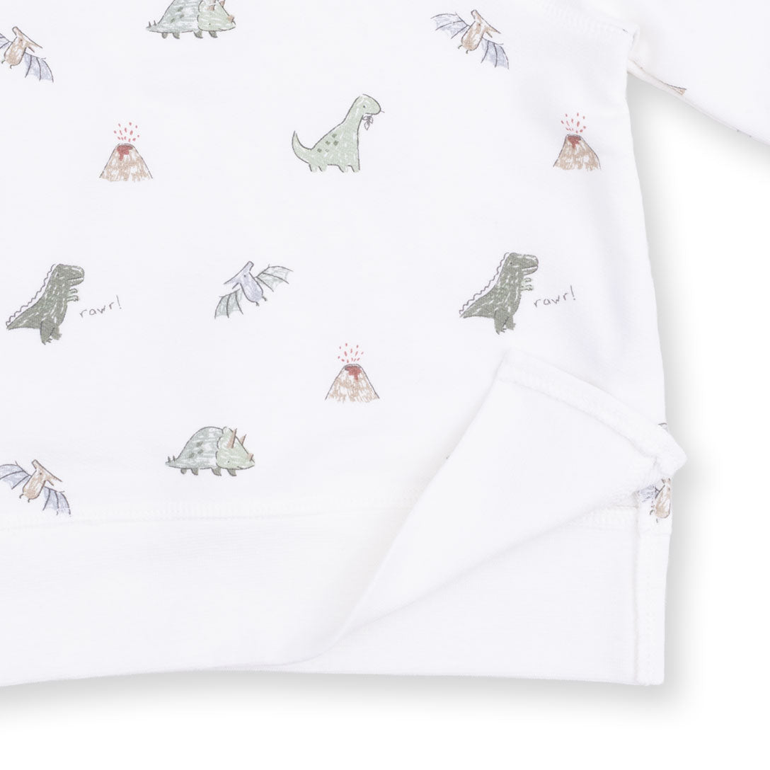 Dinos French Terry - Raglan Sweatshirt