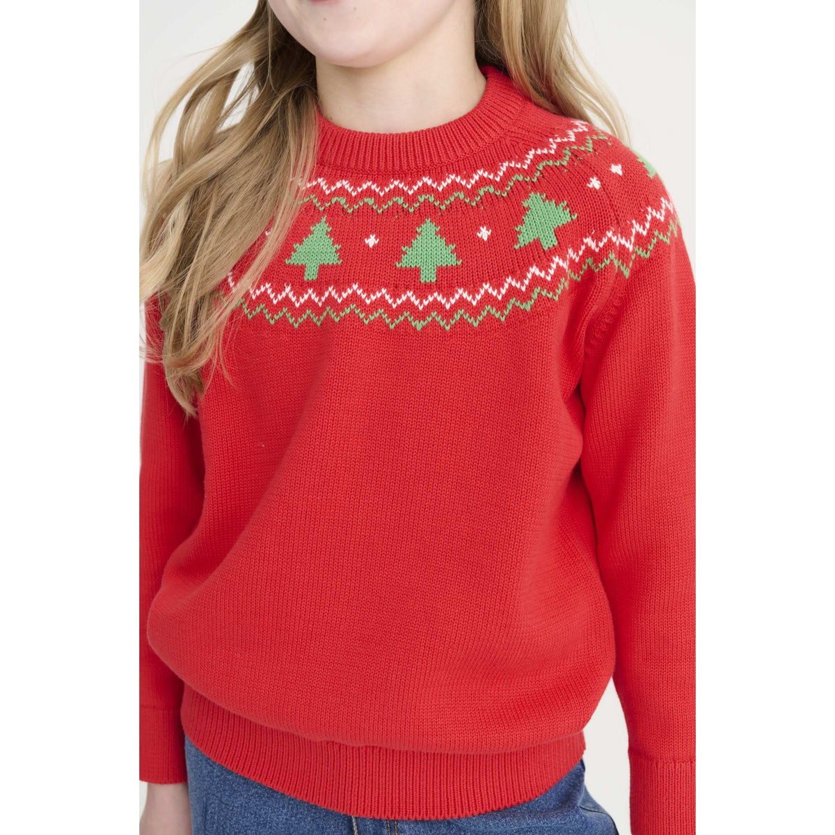 Isaac's Sweater - Fairisle